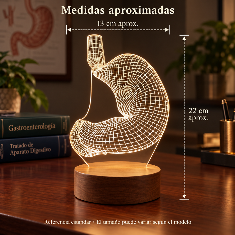 Estómago 3D