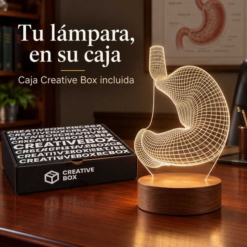Estómago 3D
