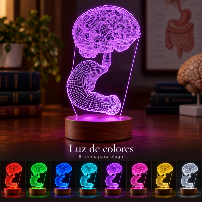 Cerebro y estómago