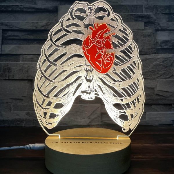Corazón y tórax